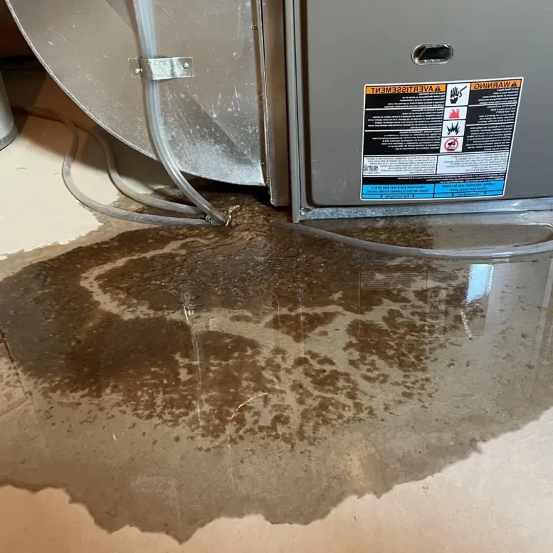 Pipe Burst and Leak Restoration in Lincoln County, MN