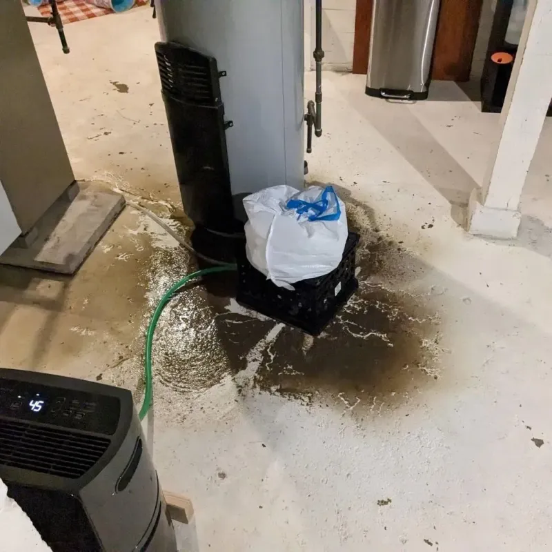 Sewage Backup Cleanup Service in Lincoln County, MN